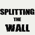 Splitting The Wall image