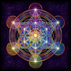 alonsorh thumbnail