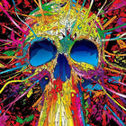 Acid Mothers The Ripper At  二枚組レコード The Ripper At The Heavens Gates Of Dark / Acid Mothers