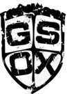 Team G.S.O.X. image
