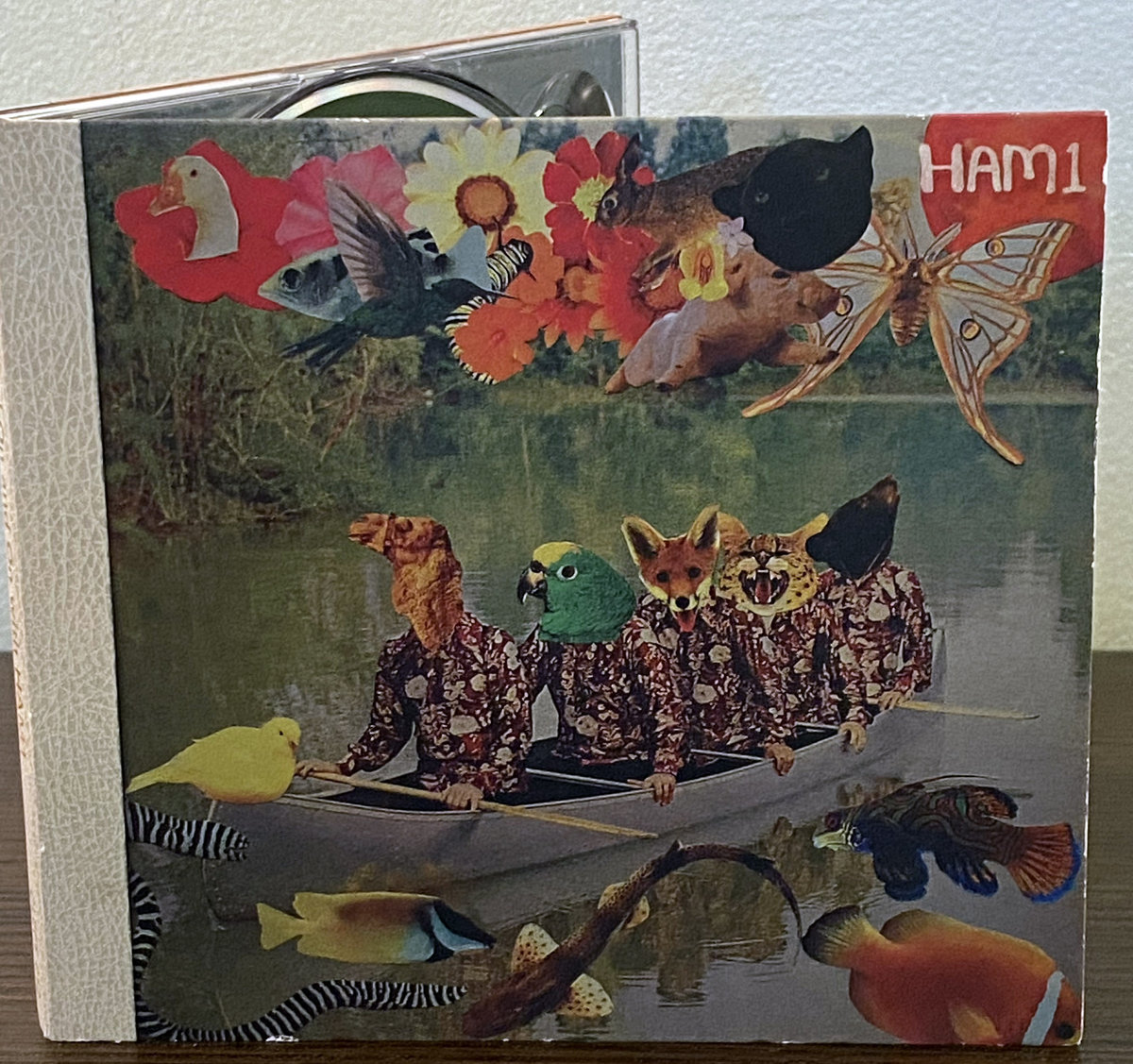 Let's Go On and On and On With Ham1 | Dim Watts (Jim Willingham