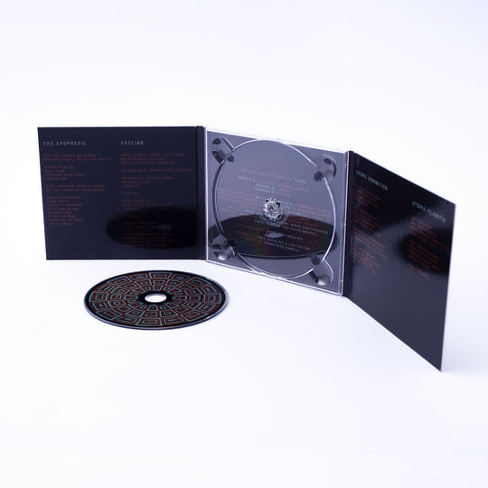 Altersist / void 【同人CD・帯付き】 駿河屋 -<中古>Altersist / void（ミュージック）