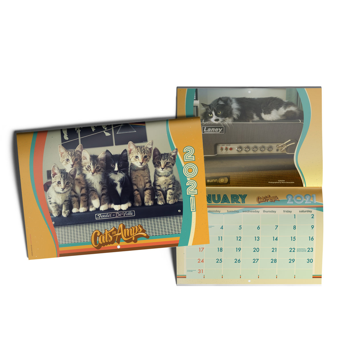 Cats On Amps 2021 Calendar Mer Sampler Cats On Amps fender 2021 calendar