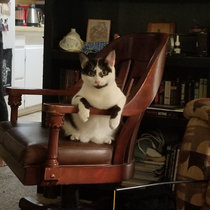 lilylou's collection | Bandcamp