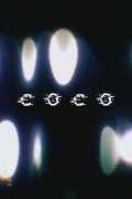 COCO image
