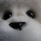 Thomas R. thumbnail
