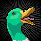 Slashrofl thumbnail