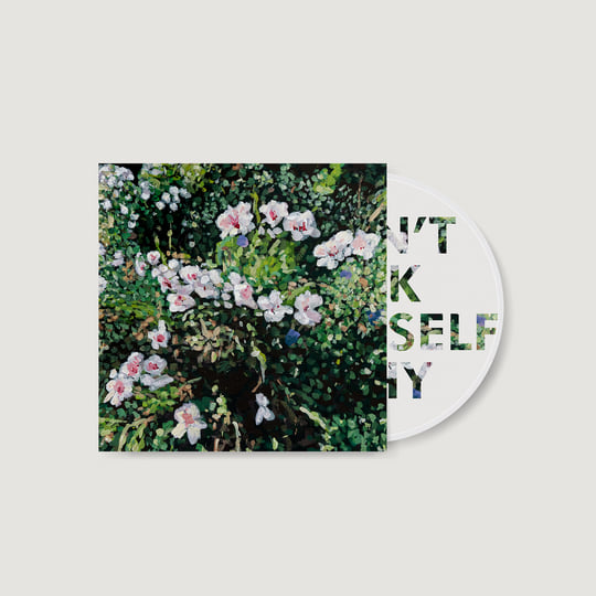 Jess Locke – Don't Ask Yourself Why, Translucent Pink Vinyl LP Jess Locke – Don't Ask Yourself Why, Translucent Pink Vinyl LP