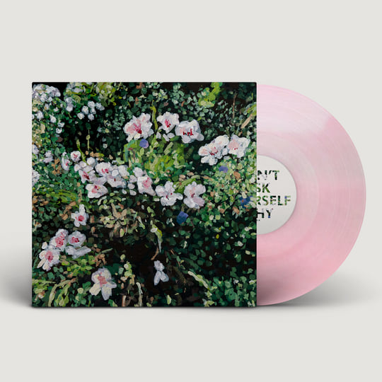 Jess Locke – Don't Ask Yourself Why, Translucent Pink Vinyl LP Jess Locke – Don't Ask Yourself Why, Translucent Pink Vinyl LP