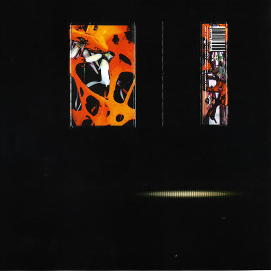 All Tomorrows Parties | Person of Interest | Exotic Dance Records