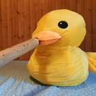 Didgeriduck thumbnail