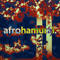 Afro Hamurai image