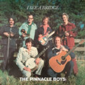 The Pinnacle Boys image