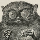 mimpishsquimby thumbnail