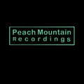 Peach Mountain Recordings image
