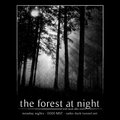 The Forest At Night image