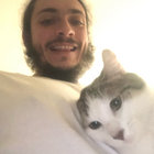 demilicht thumbnail