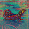 LizardFunk image