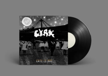 Vinyl LP (black), image 1