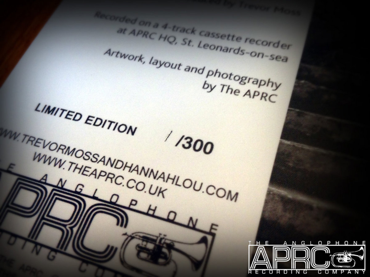 We Shouldve Gone Dancing When Spring Calls Trevor Moss Hannah Lou trevor moss hannah lou bandcamp