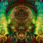 Psylosophos thumbnail