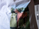 'Of course a horse'-shirt photo 
