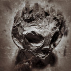 melanie honebone thumbnail