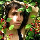 simalulu thumbnail