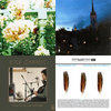【中古】 Unwed Sailor / Faithful Anchor Unwed Sailor Discography: Vinyl, CDs, & More | Discogs