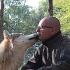 didi3er thumbnail
