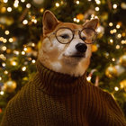 milquetoasty thumbnail
