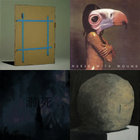 A Sucked Orange / Scrag | Nurse With Wound