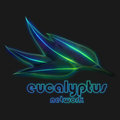 Eucalyptus Network image