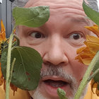 The Mighty Speck thumbnail