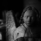 Edouard PAVIS thumbnail