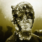 Bluejam thumbnail