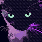 ronja99 thumbnail
