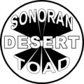 Sonoran Desert Toad image