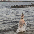 jekmedelten thumbnail