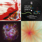 daniele_dandrea thumbnail