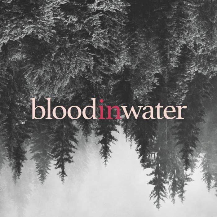 bloodinwater cover