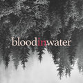 bloodinwater image