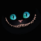 schallerwummeruntz thumbnail