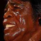 Dongo and The Associated Press of Taj Mahal thumbnail