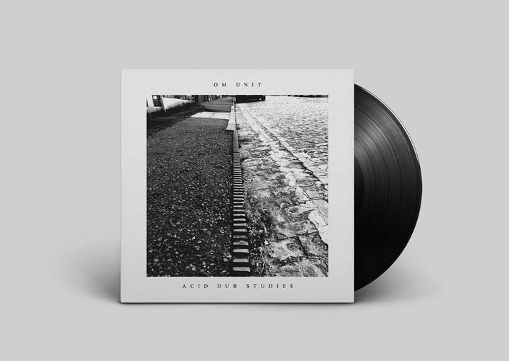 ACID GRAY EARTH LP