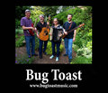 Bug Toast image