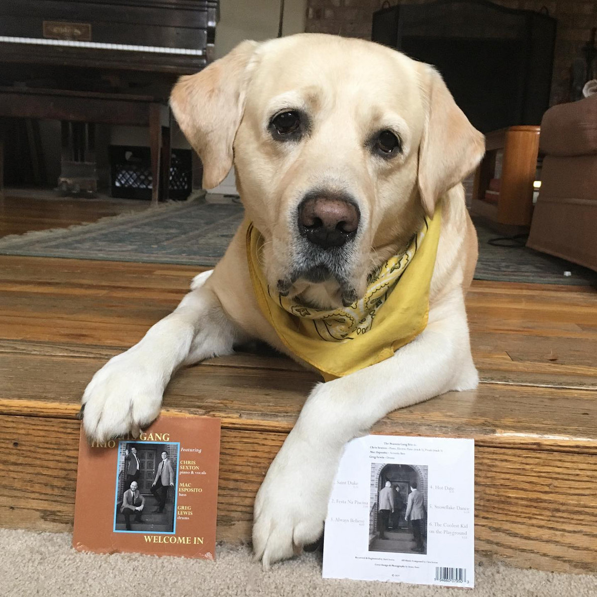 In The Peanuts Gang Trio