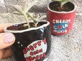 Cherry-Cola Abyss Soda Can Pot with Succulent photo 