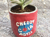 Cherry-Cola Abyss Soda Can Pot with Succulent photo 