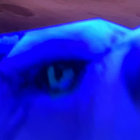 eira91 thumbnail
